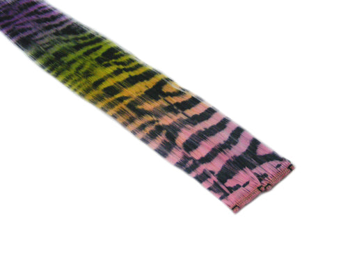 Clip-In Extensions - Pink Yellow Green Purple Transitional / Black Tiger Zebra Print 12" (pack of 2)