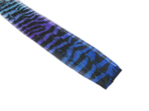 Clip-In Extensions - Royal Blue Violet Aqua Transitional / Black Tiger Zebra Print 12" (pack of 2)